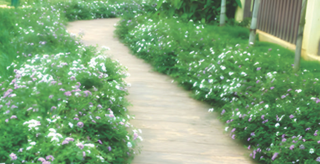 Binny Cresent-Our-work-ecocalyx (2)