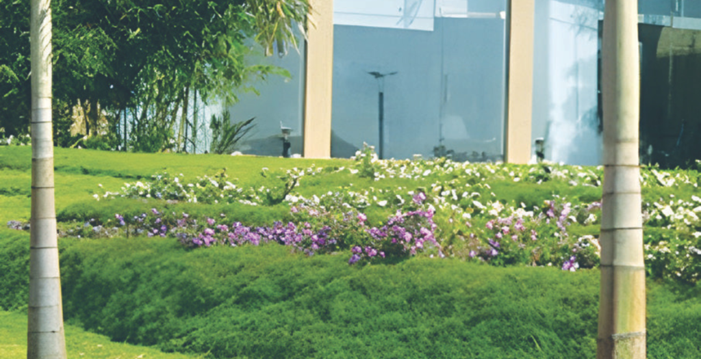 Hirnandani-Our-work-ecocalyx (5)
