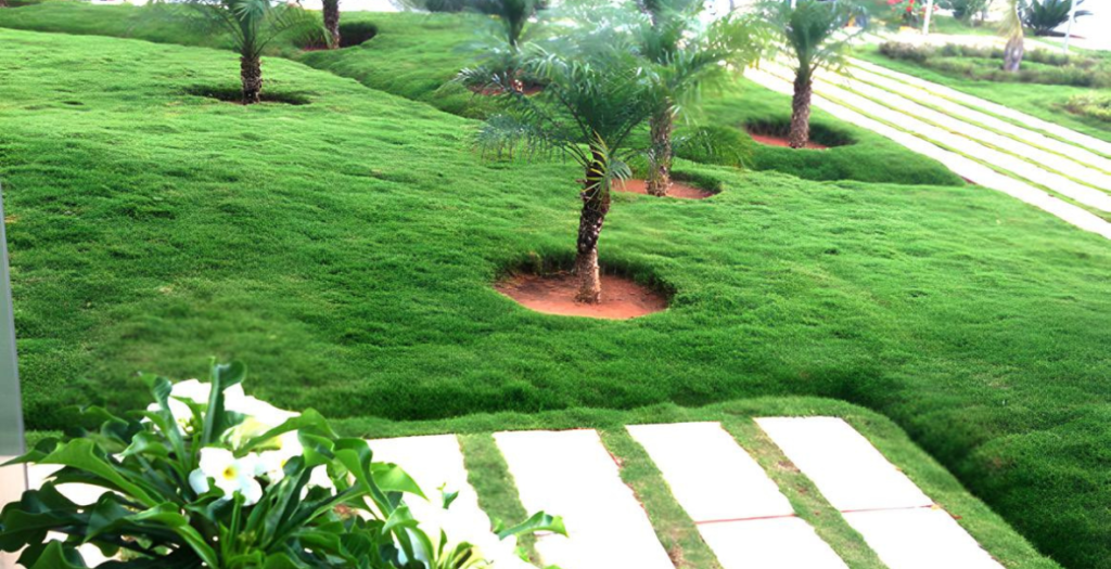Mahaveer Constructions -Our-work-ecocalyx (2)